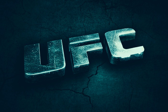 Заработай на ставках UFC онлайн вместе с БК Горилла